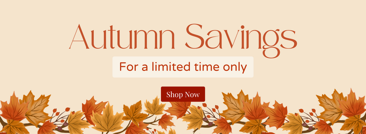 Payless 4 Furniture And Mattress