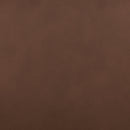 Pincara Power AutoGlide Recliner